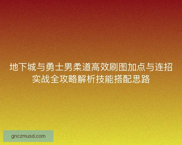 地下城与勇士男柔道高效刷图加点与连招实战全攻略解析技能搭配思路
