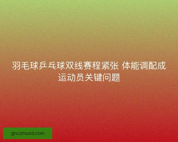 羽毛球乒乓球双线赛程紧张 体能调配成运动员关键问题
