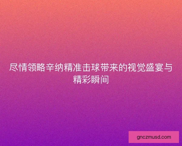 尽情领略辛纳精准击球带来的视觉盛宴与精彩瞬间