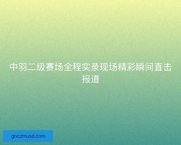 中羽二级赛场全程实录现场精彩瞬间直击报道 中羽二级赛场全程实录现场精彩瞬间直击报道